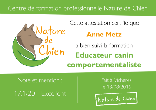 certificat-ndc-anne-metz